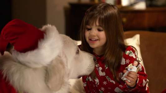The Search for Santa Paws - Backdrop