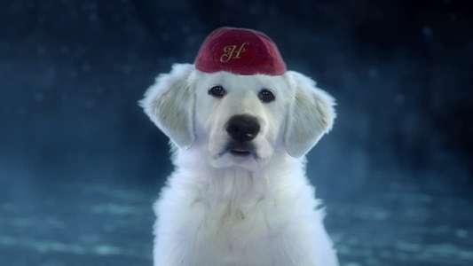 The Search for Santa Paws - Backdrop