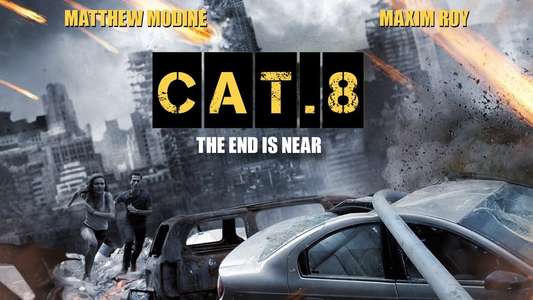 CAT. 8 - Backdrop