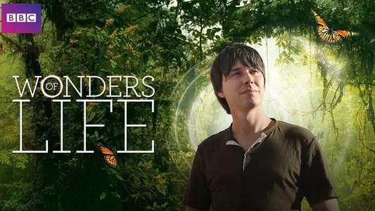 Wonders of Life - Backdrop