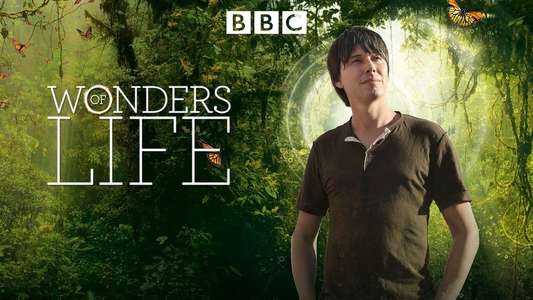 Wonders of Life - Backdrop