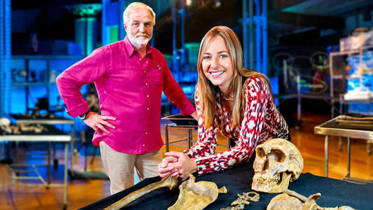 Prehistoric Autopsy - Backdrop