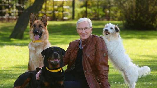 Paul O'Grady: For the Love of Dogs - Backdrops
