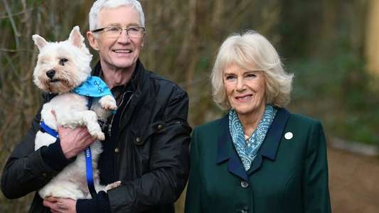 Paul O'Grady: For the Love of Dogs - Backdrops