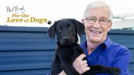 Paul O'Grady: For the Love of Dogs - Backdrops