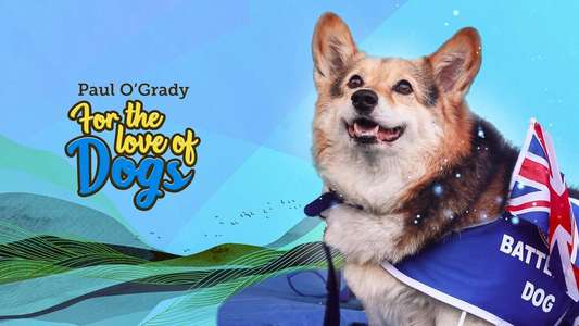 Paul O'Grady: For the Love of Dogs - Backdrops