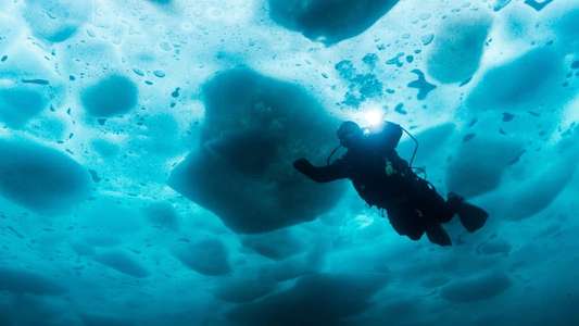 Bering Sea Gold: Under The Ice - Backdrop