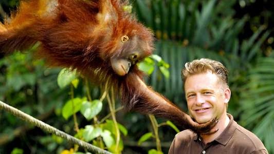 Secrets of Our Living Planet - Backdrops