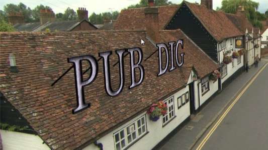 Rory McGrath's Pub Dig - Backdrop