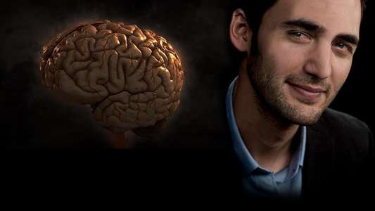 Brain Games - Backdrops