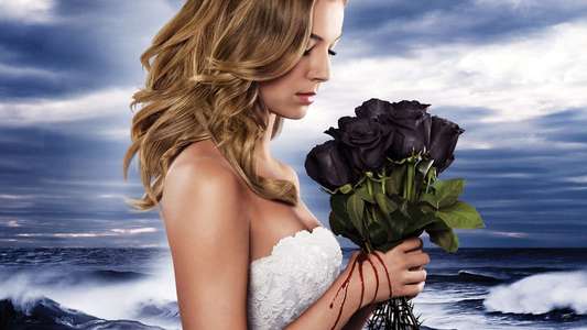 Revenge - Backdrops