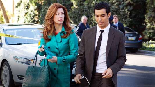 Body of Proof - Backdrops