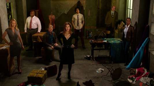 Body of Proof - Backdrops