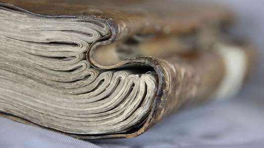 The Beauty of Books - Backdrops