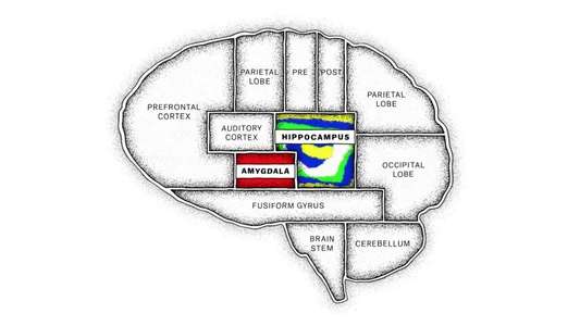 The Mind  Explained - Backdrops