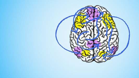 The Mind  Explained - Backdrops