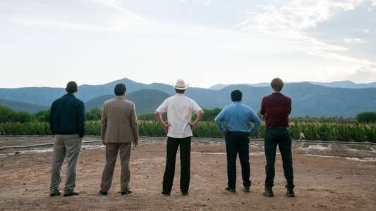 Narcos: Mexico - Backdrops
