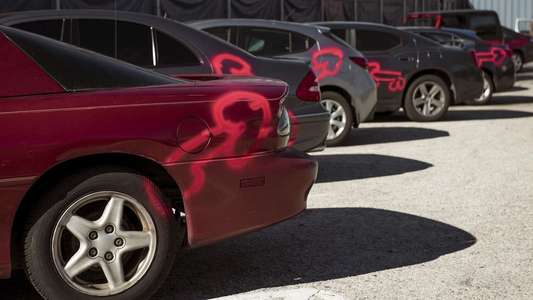 American Vandal - Backdrops