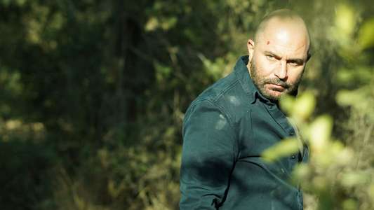 Fauda - Backdrop
