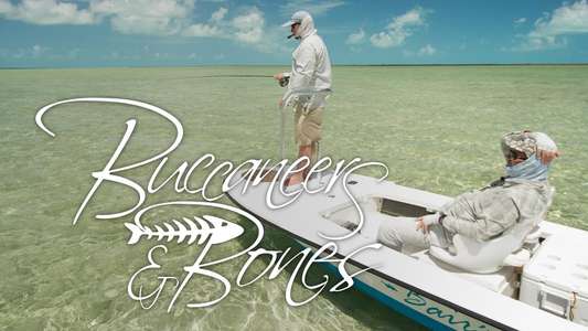 Buccaneers and Bones - Backdrop