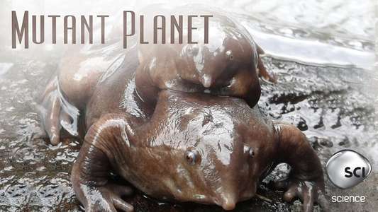 Mutant Planet - Backdrop