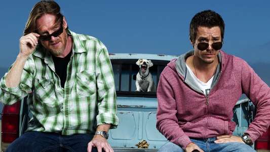 Terriers - Backdrop