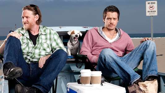 Terriers - Backdrop