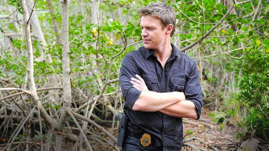 The Glades - Backdrops