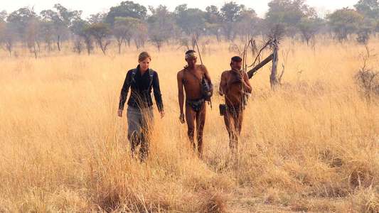 The Incredible Human Journey - Backdrop