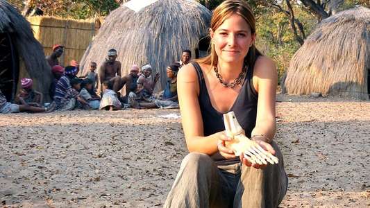 The Incredible Human Journey - Backdrop