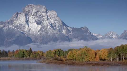 Yellowstone - Backdrop