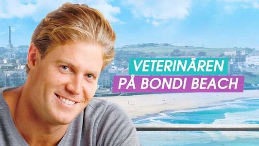 Bondi Vet - Backdrops