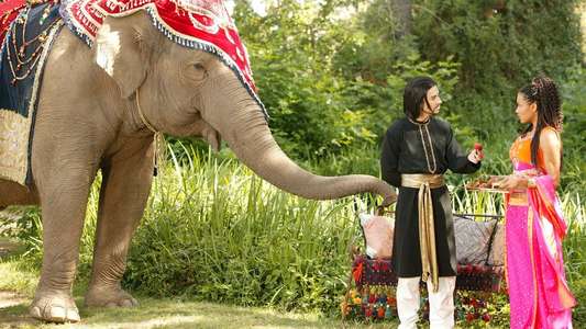 The Elephant Princess - Backdrops