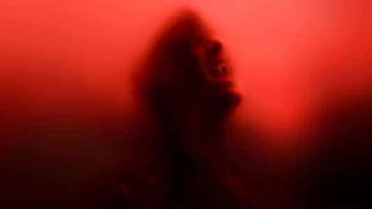 True Blood - Backdrops