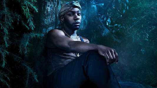 True Blood - Backdrops