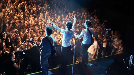 Jonas Brothers: Living the Dream - Backdrop