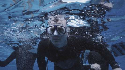 The Reef - Backdrop