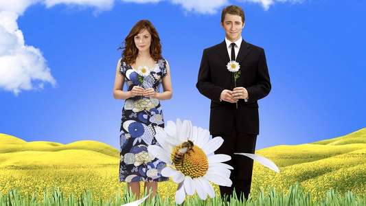 Pushing Daisies - Backdrops