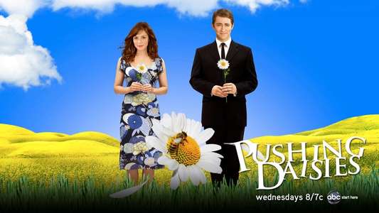 Pushing Daisies - Backdrops