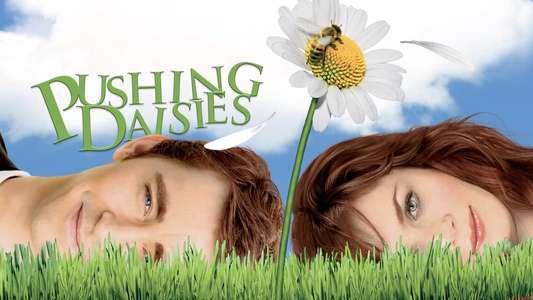 Pushing Daisies - Backdrops