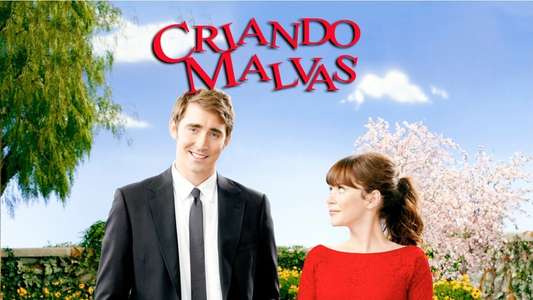 Pushing Daisies - Backdrops