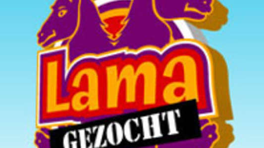 Lama Gezocht - Backdrop