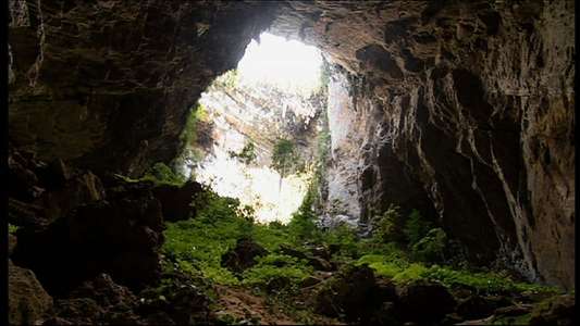 Expedition Borneo - Backdrop