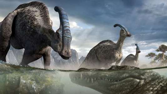 Prehistoric Park - Backdrops