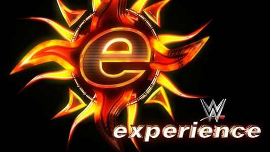 WWE Experience - Backdrops