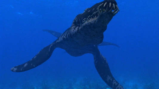 Sea Monsters - Backdrops