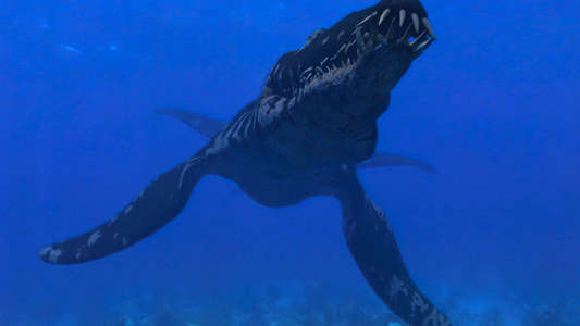Sea Monsters - Backdrops