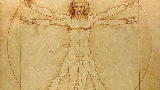 Leonardo - Backdrop