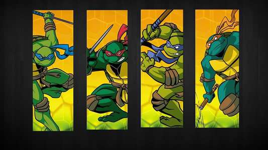 Teenage Mutant Ninja Turtles - Backdrops