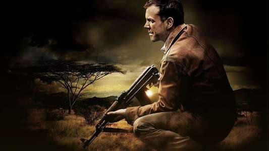 24 - Backdrops